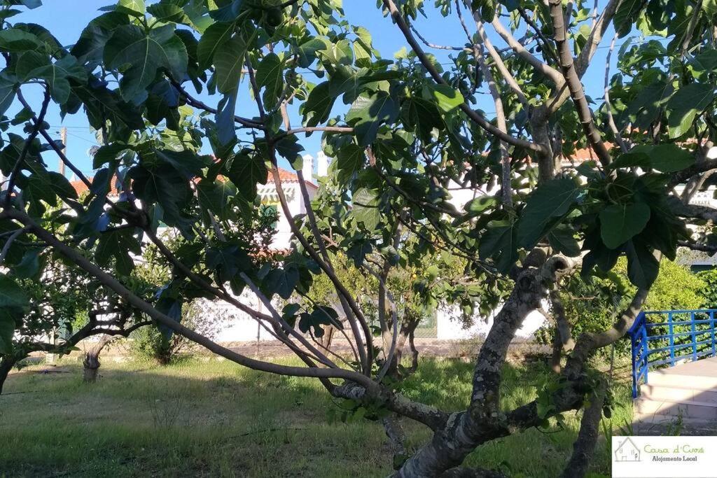 Apartament Casa D'Avo Altura Zewnętrze zdjęcie